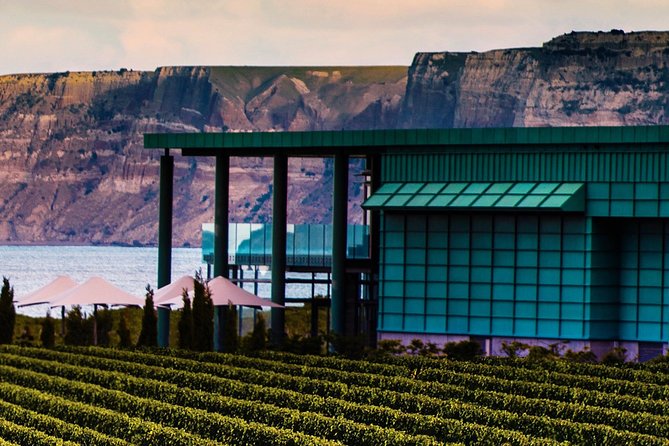 Cape Coast Wineries Self-Guided Scenic Bike Tour From Napier