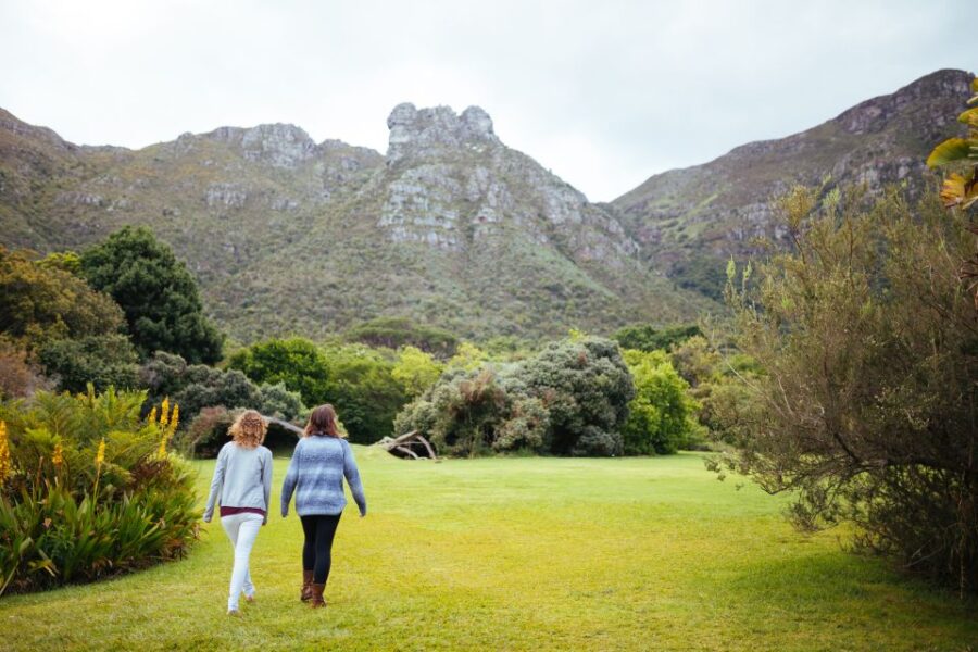 Cape Point Full-Day Tour From Cape Town - Tour Overview