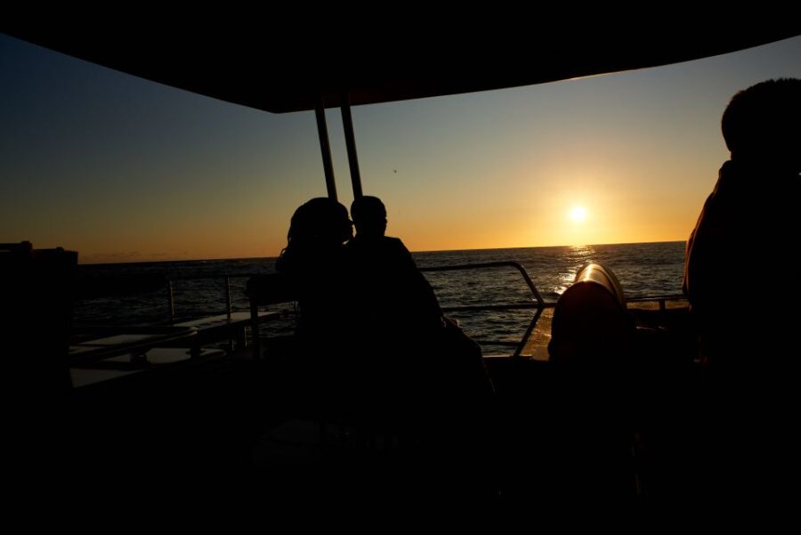Cape Town: 1.5-Hour Luxury Sunset Cruise With Prosecco - Overview