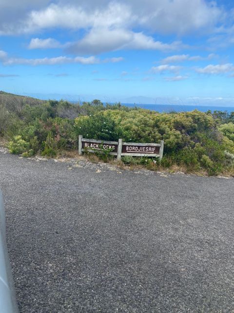 Cape Town: Cape Point Mountain Bike Rental With Route - Exploring Cape Point