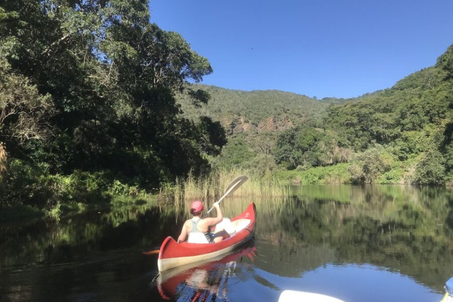 Cape Town: Garden Route and Addo Elephant Park 6-Day Safari - Discover Hermanus and Cape Agulhas