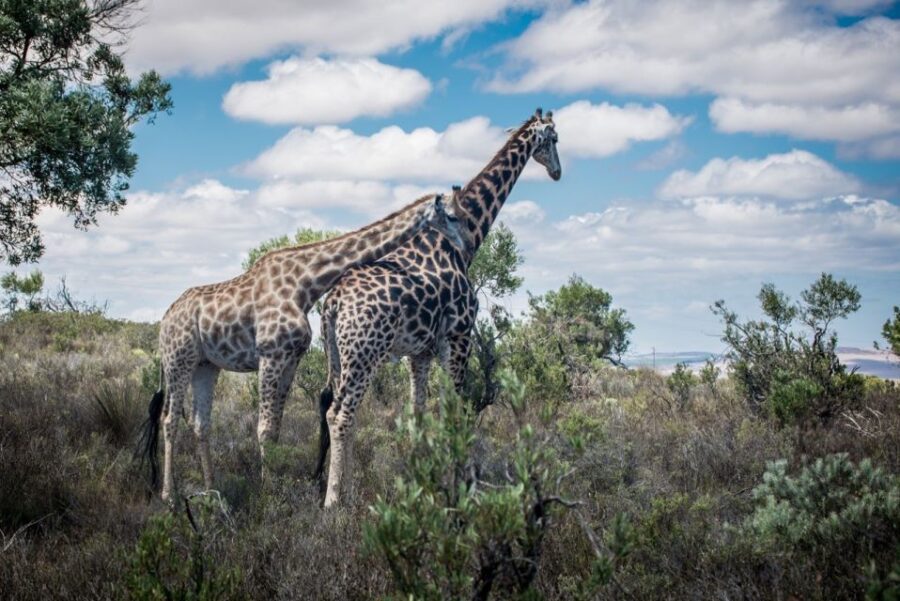 2 Best Bike Tours In West Coast National Park