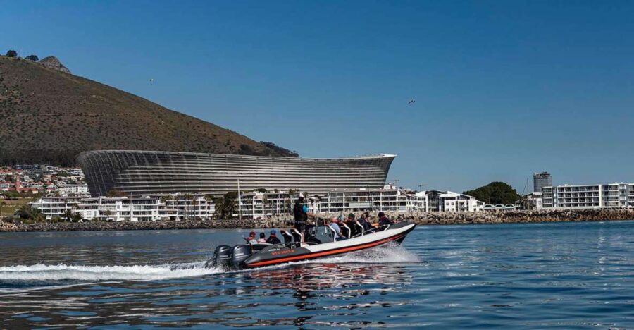 Cape Town: Guided Marine Wildlife Cruise and Cape Point Tour - Marine Cruise Overview