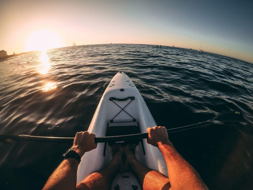 Cape Town: Marine Life Kayak Tour From the V&A Waterfront