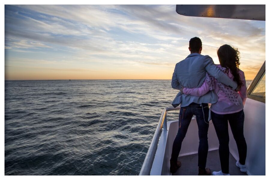 3 Best Dinner Tours In Cape Town