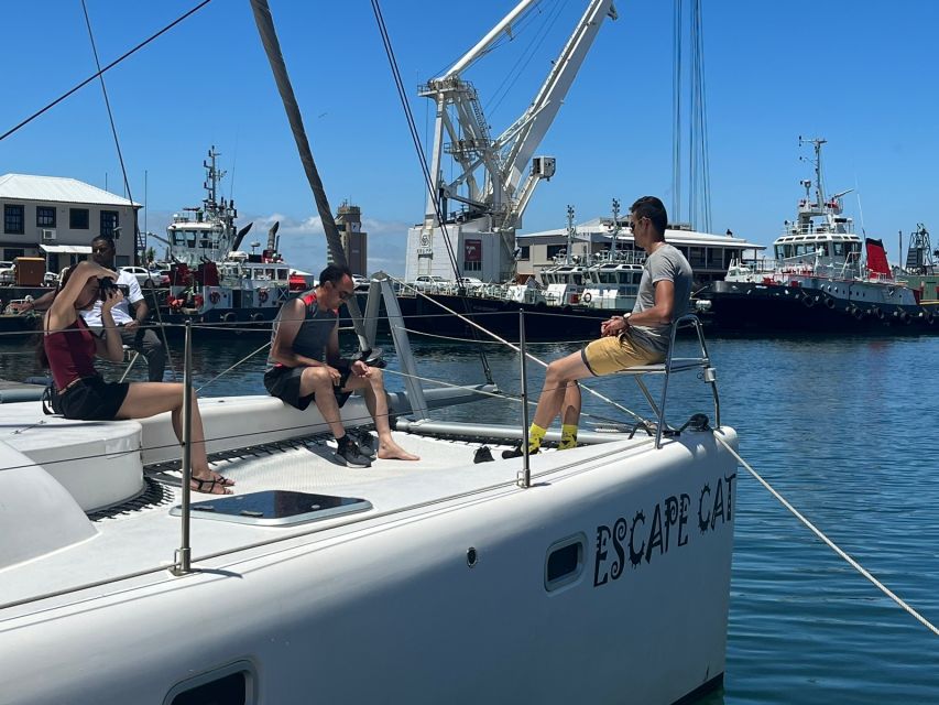 Cape Town: Sunset Cruise by Catamaran to Table Bay - About the Sunset Cruise