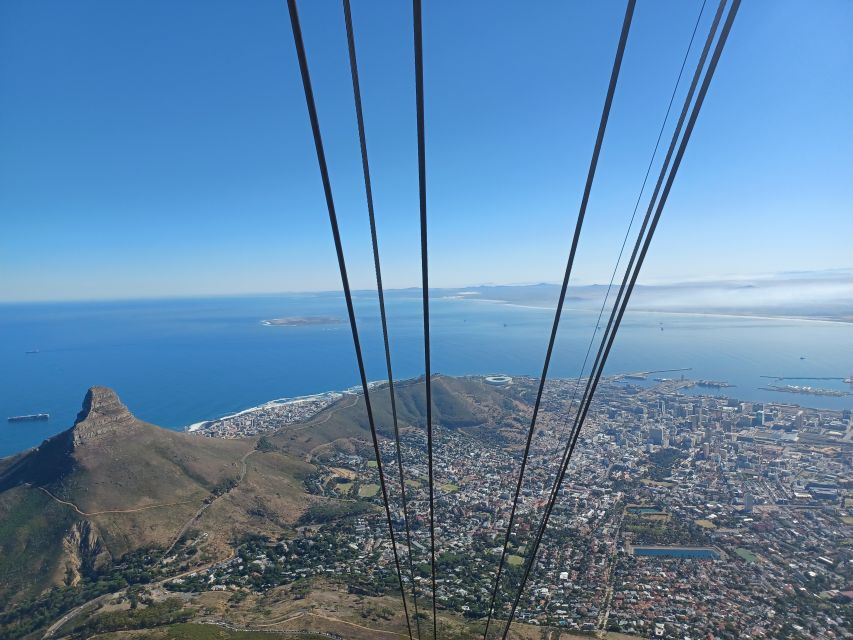 Cape Town: Table Mountain and Penguins Private Guided Tour - Activity Details