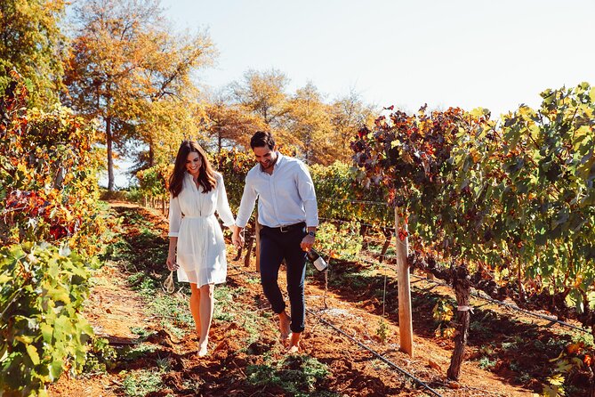 Cape Winelands Private Tour to Stellenbosch and Franschhoek - Personalized Itinerary