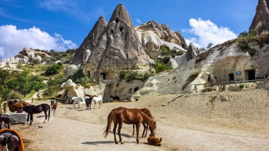 Cappadocia:Horse Tour