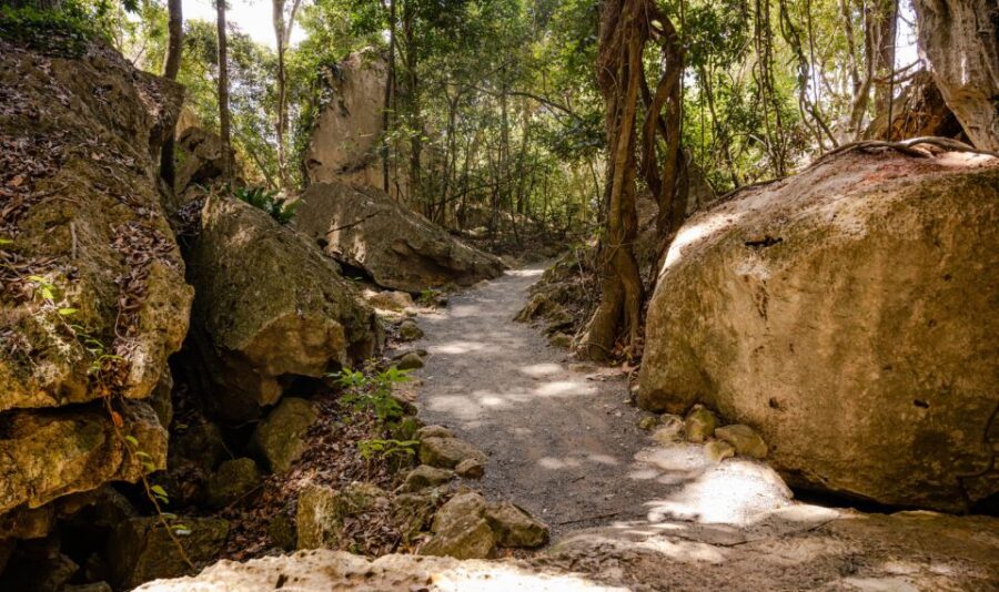Capricorn Caves, Australia: 45-Minute Cathedral Cave Tour