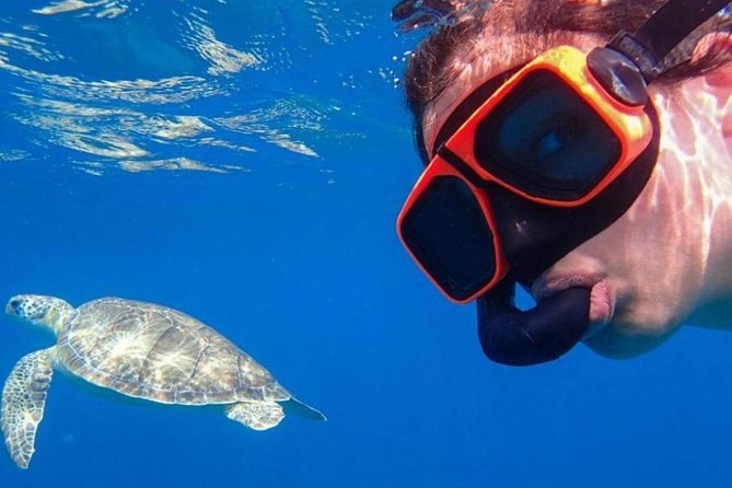 CAPTAIN ALANS 4hr -3 Islands-snorkeling-turtles-beach ADVENTURE - Inclusions and Amenities