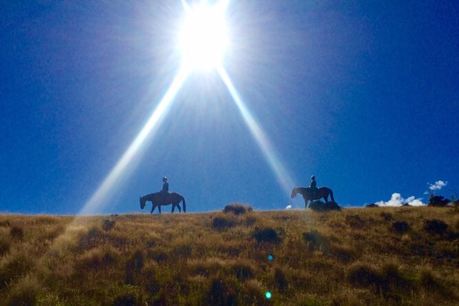 Cardrona Gold Discovery Trail Horse Trek(Beginner/Child Friendly)