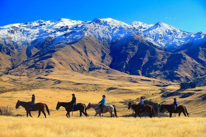 Cardrona High Country Pub Trail Horse Riding Trek (Adventurous) - Overview and Highlights