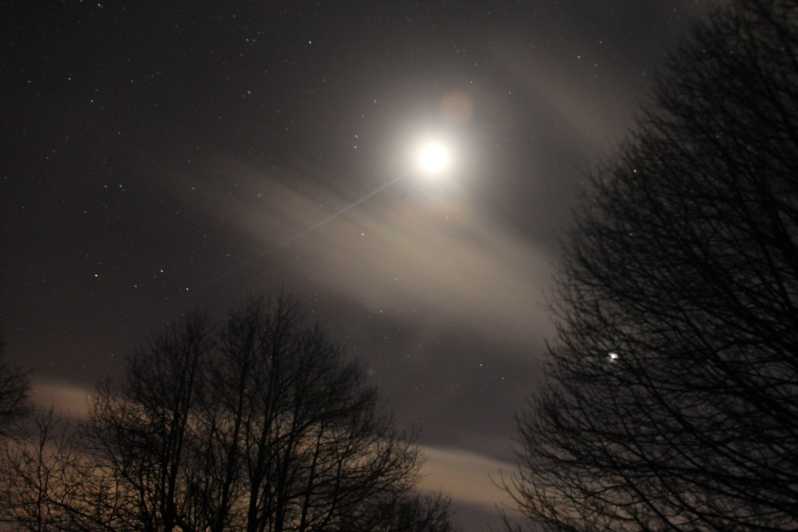 Carvajal De Gredos: Stargazing From the Ancient Forest - Activity Overview