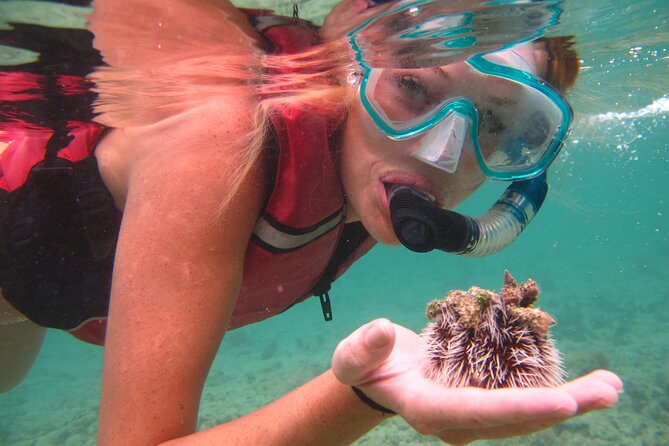 Cas Cay - Kayak Hike and Snorkel Adventure