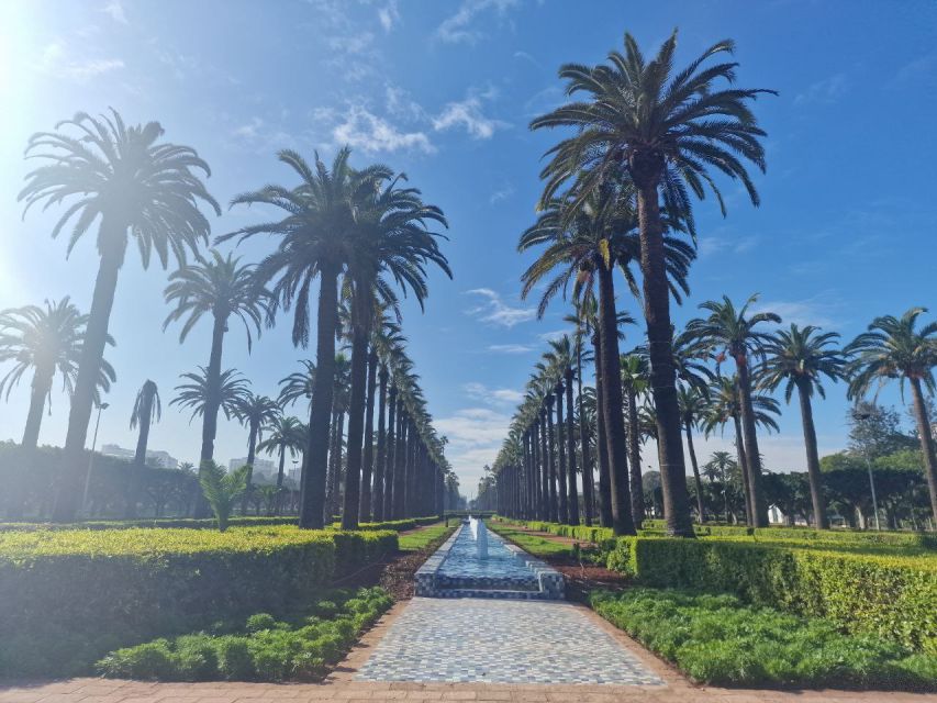 Casablanca: Layover Tour With Roundtrip Airport Transfer