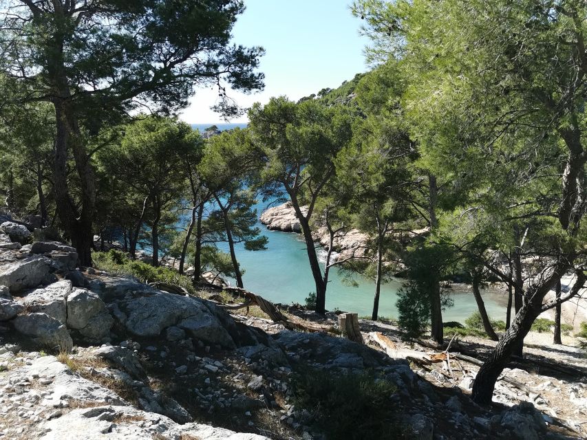 6 Best National Park Tours In Cassis