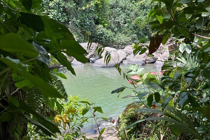 Casual One Day Tour: El Yunque, Waterslide, Beach, Dine, Shop
