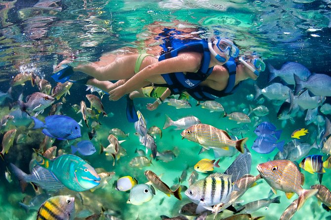 Catamaran Cruise With Snorkeling & Parasailing