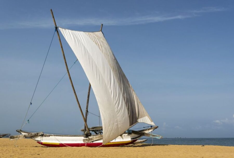 Catamaran Sunset Sailing in Mount Lavinia