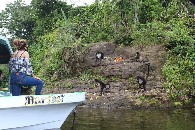 Catemaco And Los Tuxtlas Tour From Veracruz Or Boca Del Rio - Overview of the Tour
