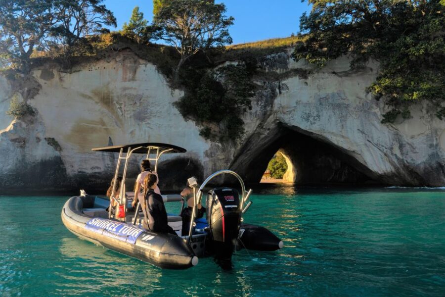 Cathedral Cove Marine Reserve- Specialised Snorkel Boat Trip - Trip Overview