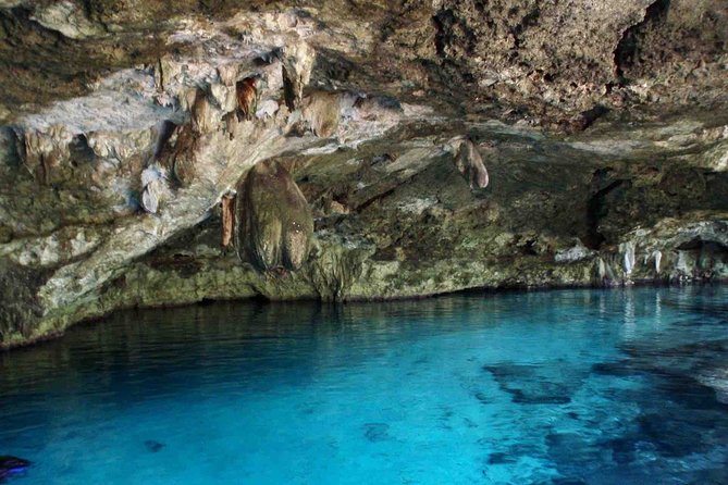 Cenote Exploration Tour - Mayan Culture & Ancient Fossils & Fun! - Tour Overview