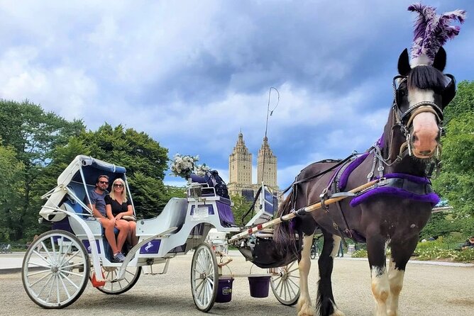 Central Park Horse and Carriage Rides - Included in the Tour