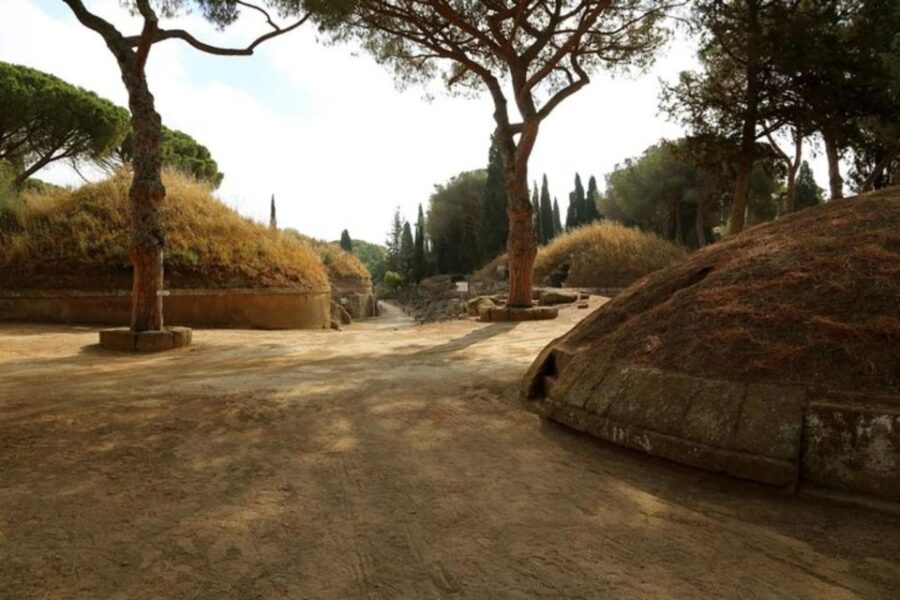 Cerveteri - the Etruscan Necropolis Private Tour From Rome - Tour Overview and Pricing
