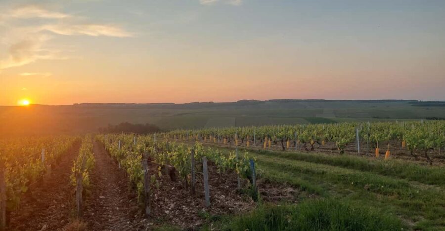 4 Best Tours In Auxerre