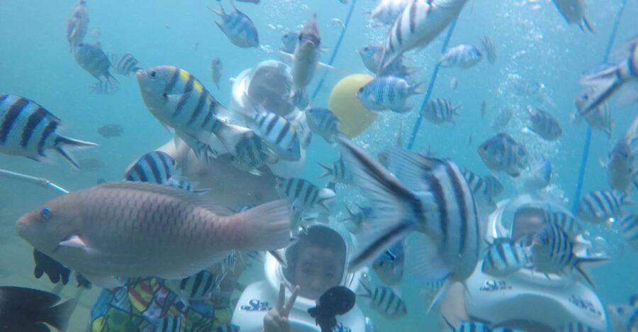 Cham Island: Underwater Walking & Snorkeling Tour - Tour Overview
