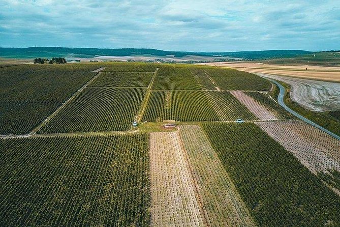 Champagne Lamiable: Stroll and Taste in the Grand Cru Champagne Vineyard