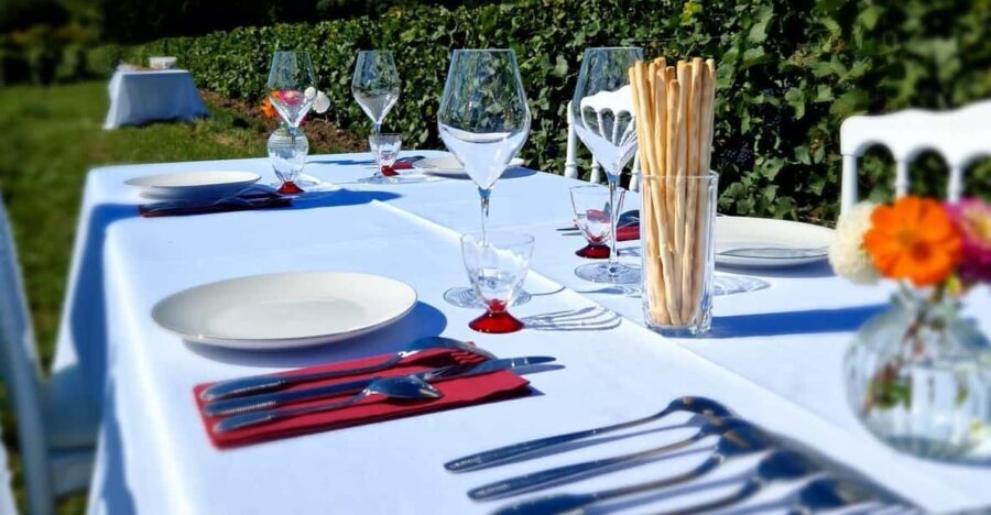 Champagne Vineyards Picnic - Activity Overview