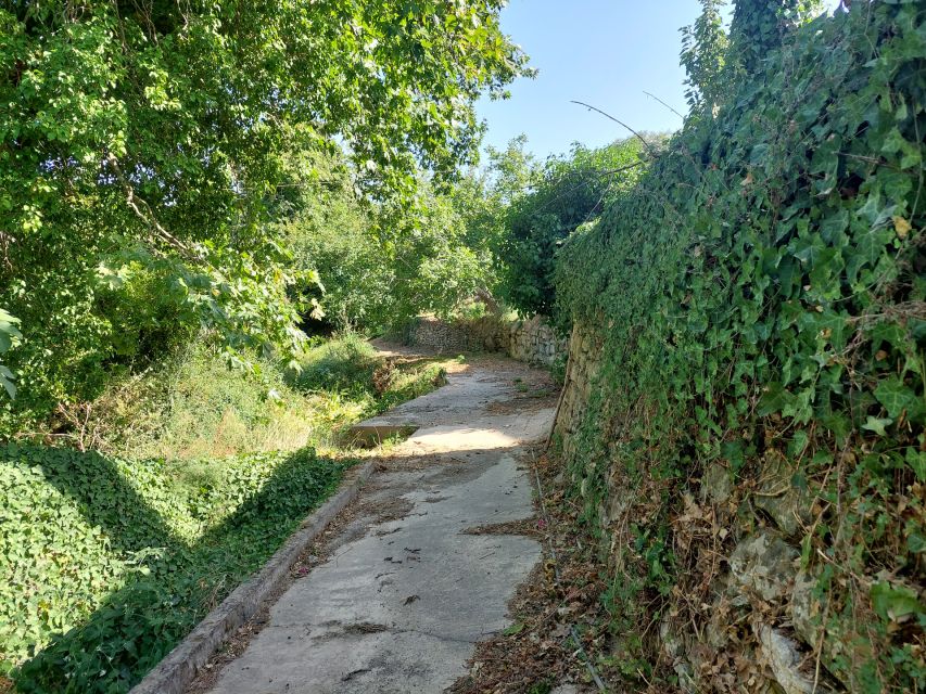Chania: 5-Wine Tasting With Locals in Village Near Kissamos - Activity Overview