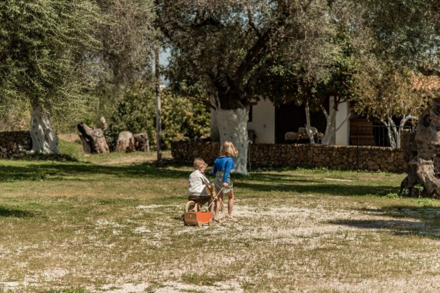 Chania Luxury Jeep Safaris: Wine & Olive Oil Tasting Secrets