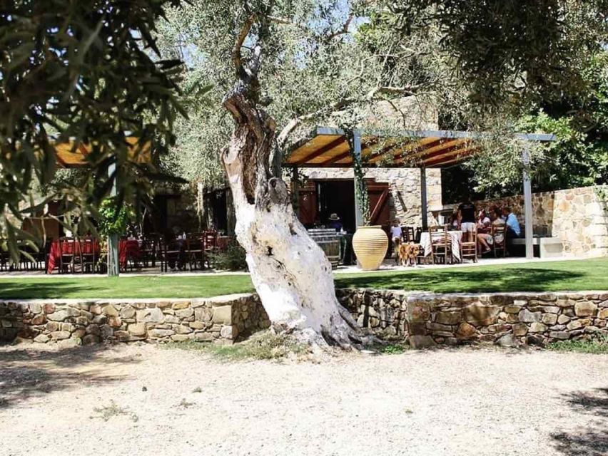 Chania: Manousakis Winery Tour With Wine Tasting - Tour Overview
