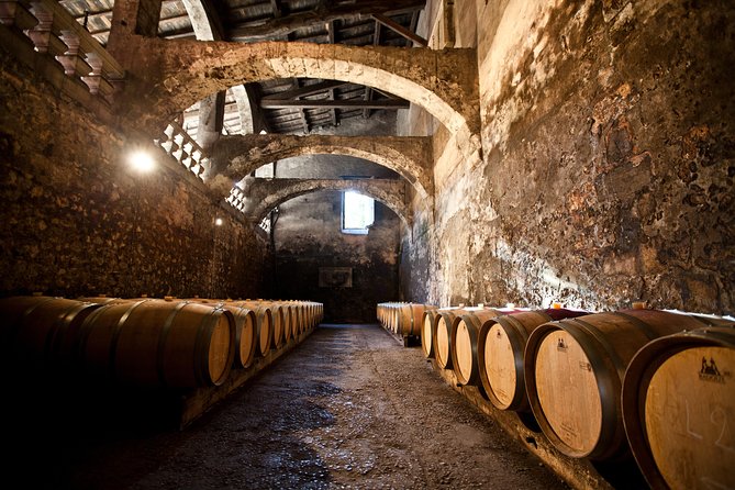 Chateau Du Taillan and Park Including Wine Tasting Tour
