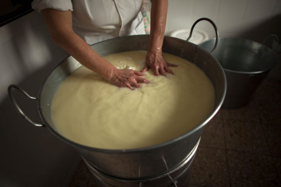 Cheese Making and Tasting Tour From Cagliari With Lunch