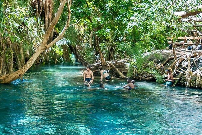 Chemka Hot Springs Tour From Moshi - Experience Details