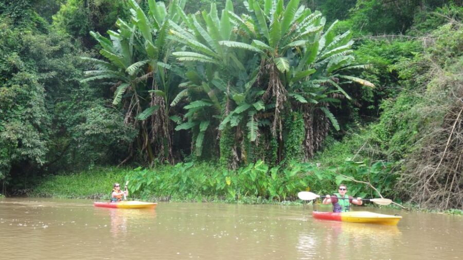 Chiang Mai: 15 Km Leisure River Kayaking at Mae Ngat Forest