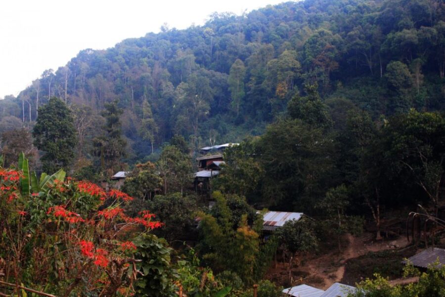 Chiang Mai: 2 Days 1 Night Experience Trek in National Park - Overview of the Experience