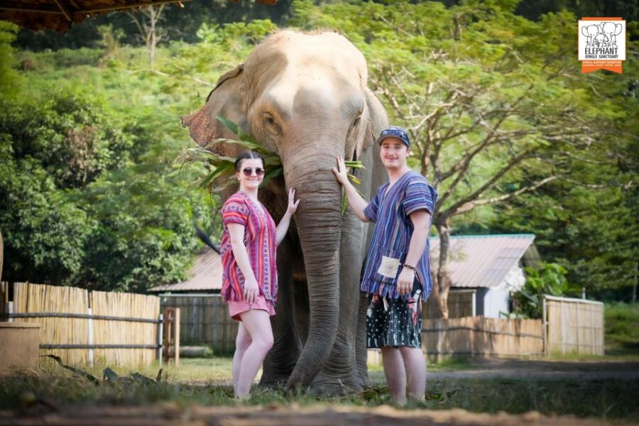 Chiang Mai: Elephant Jungle Sanctuary With Lunch & Transfer