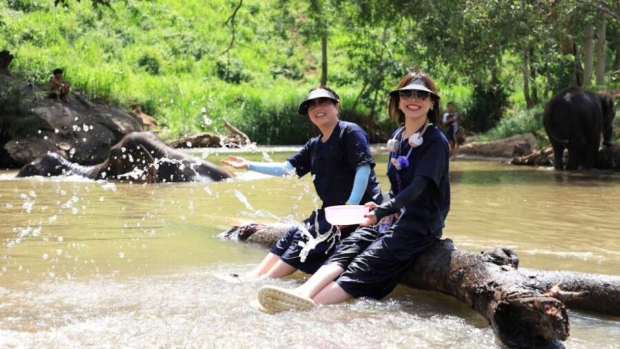 Chiang Mai: Elephant Sanctuary Interactive Tour - Tour Overview