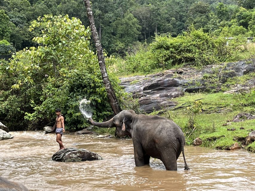Chiang Mai: Elephant Sanctuary & Waterfall Group Tour - Tour Overview