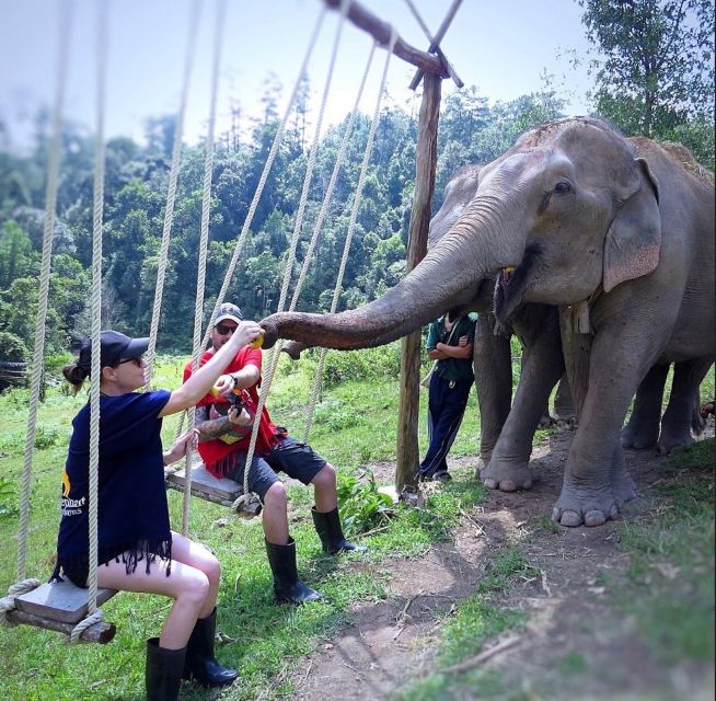 Chiang Mai : Ethical Elephant Sanctuary and ATV Adventure - Activity Overview