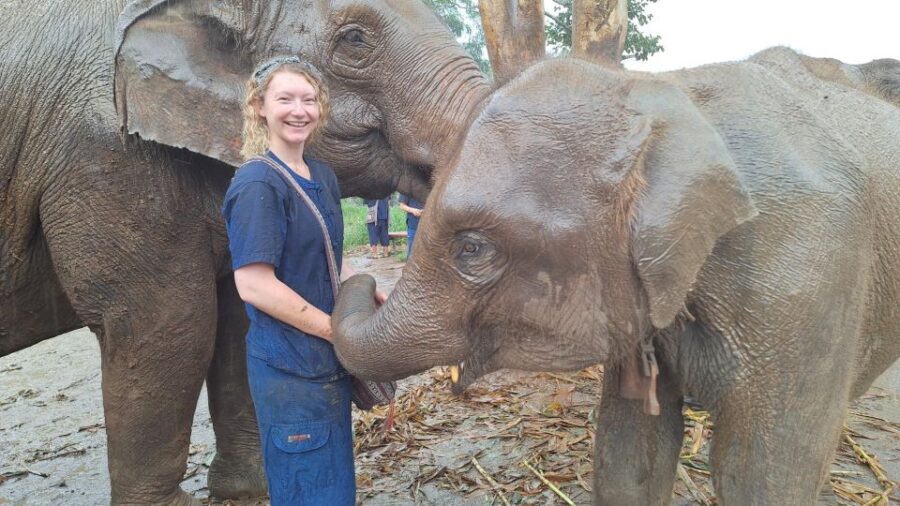 Chiang Mai: Ethical Elephant Sanctuary Full Day Tour & Lunch