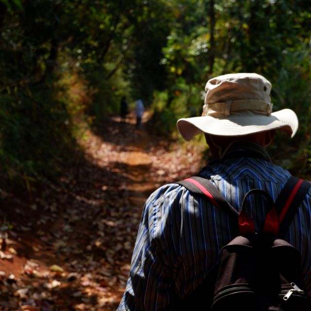 Chiang Mai: Full Day 5 Hill Tribes Tour With Guide & Van