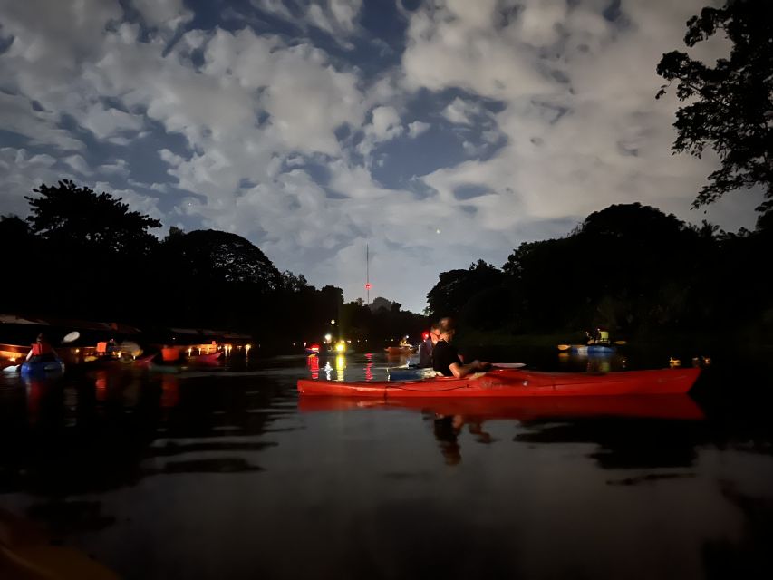 Chiang Mai: Ping River Night Kayaking Into City Center - Activity Overview