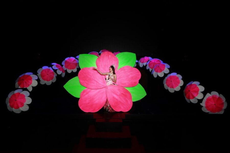 Chiang Mai: Siam Dragon Cabaret Show & Optional Transfer - Show Overview