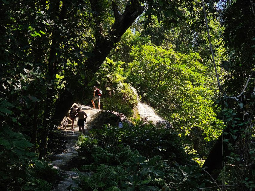 Chiang Mai: Sticky Waterfall Half-Day Tour & Hotel Transfers - Tour Overview